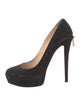 Christian Louboutin Suede Pumps