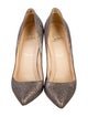 Christian Louboutin Glitter Pumps