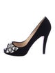 Christian Louboutin Velvet Crystal Embellishments Pumps