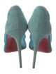 Christian Louboutin Suede Mesh Accents Pumps
