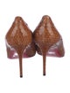 Christian Louboutin Python Pumps