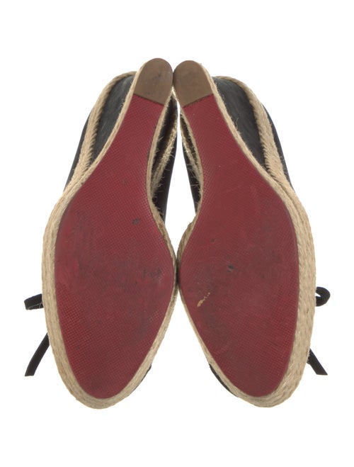 Christian Louboutin Suede Pumps