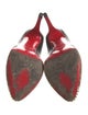 Christian Louboutin Leather Animal Print Pumps
