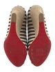 Christian Louboutin Canvas Striped Pumps
