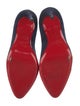 Christian Louboutin Suede Pumps