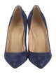 Christian Louboutin Suede Pumps