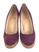 Christian Louboutin Suede Pumps