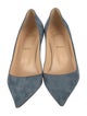 Christian Louboutin Suede Pumps