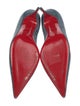 Christian Louboutin Suede Pumps