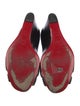 Christian Louboutin Leather Pumps