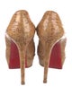 Christian Louboutin Pumps