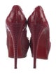 Christian Louboutin Python Pumps