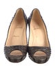 Christian Louboutin Mater Claude 85 Python Pumps