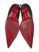 Christian Louboutin Suede Studded Accents Pumps