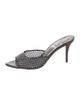 Christian Louboutin Apostropha Mesh Mules