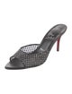 Christian Louboutin Apostropha Mesh Mules