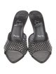 Christian Louboutin Apostropha Mesh Mules
