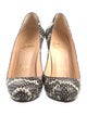 Christian Louboutin Bianca Snakeskin Pumps