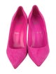 Christian Louboutin Suede Pumps