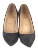 Christian Louboutin Suede Pumps