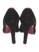 Christian Louboutin Suede Pumps