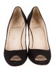 Christian Louboutin Suede Pumps
