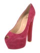 Christian Louboutin Suede Pumps