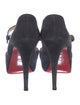 Christian Louboutin Suede Pumps