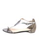 Christian Louboutin Snakeskin Animal Print T-Strap Sandals
