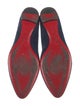 Christian Louboutin Suede Ballet Flats