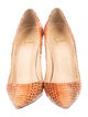 Christian Louboutin Python Animal Print Pumps