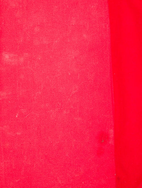 Christian Louboutin Leather Gold Foil Explorafunk