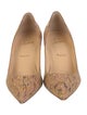Christian Louboutin Patterned Pumps