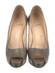 Christian Louboutin Snakeskin Animal Print Pumps