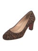 Christian Louboutin Ponyhair Animal Print Pumps