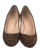 Christian Louboutin Ponyhair Animal Print Pumps