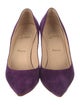 Christian Louboutin Suede Pumps