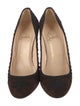 Christian Louboutin Suede Pumps