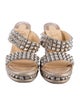 Christian Louboutin Spike Accents Glitter Accents Espadrilles