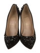 Christian Louboutin Suede Crystal Embellishments Pumps