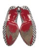 Christian Louboutin Plaid Print Pumps