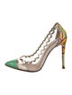 Christian Louboutin PVC Printed Pumps