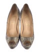 Christian Louboutin Snakeskin Animal Print Pumps