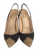 Christian Louboutin Suede Glitter Accents Slingback Pumps