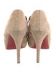 Christian Louboutin Suede Pumps