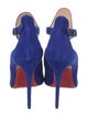 Christian Louboutin Suede Pumps