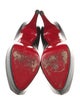 Christian Louboutin Leather Pumps