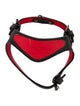 Christian Louboutin Dog Harness