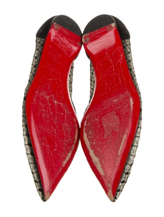 Christian Louboutin Suede Ballet Flats