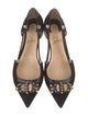 Christian Louboutin Suede Crystal Embellishments Ballet Flats